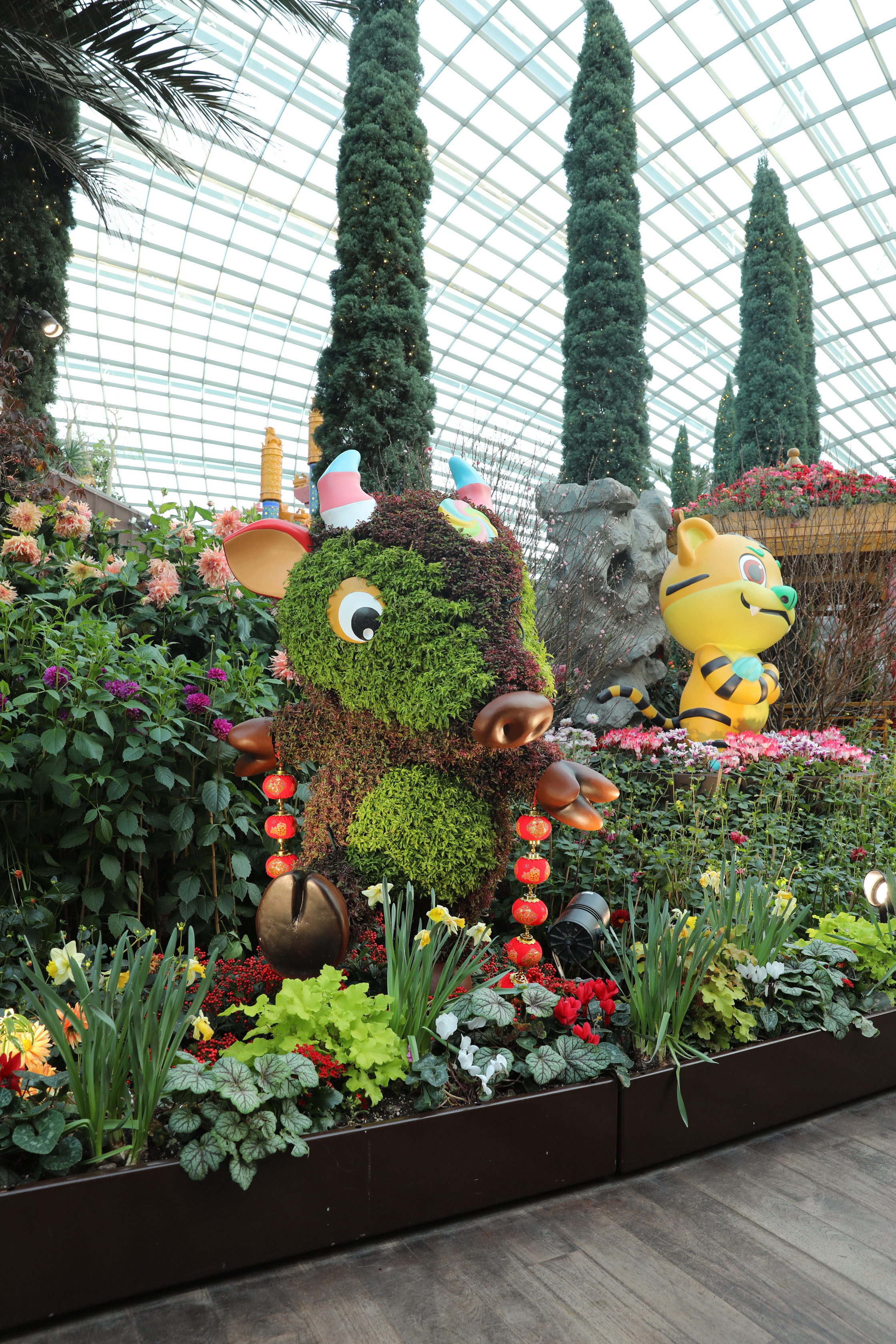 2020 02 03 18 44 50 Canon EOS 5D Mark IV 0058